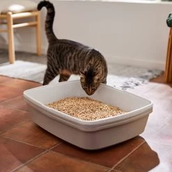 Frisco Pine Pellet Unscented Non-Clumping Wood Cat Litter -Cat Products Store 161458 PT4. AC SS1800 V1659023182