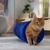 Frisco Foldable Play Tunnel With Mesh Cat Toy -Cat Products Store 166385 MAIN. AC SS1800 V1686579145
