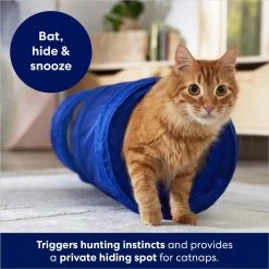 Frisco Foldable Play Tunnel With Mesh Cat Toy -Cat Products Store 166385 PT2. AC SS1800 V1686580143