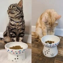 Necoichi Raised Cat Food Bowl, Colorful Dots -Cat Products Store 169388 PT4. AC SS1800 V1649354641