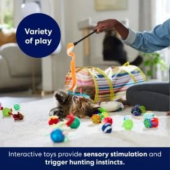 Frisco Plush, Teaser, Ball & Tunnel Variety Pack Cat Toy With Catnip -Cat Products Store 169688 PT5. AC SS1800 V1691784246