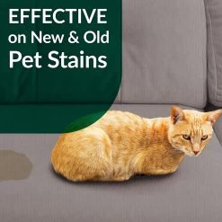 Simple Green Cat Stain & Odor Remover -Cat Products Store 172629 PT6. AC SS1800 V1556823121