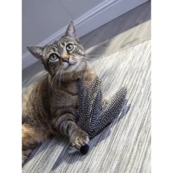 Petlinks HappyNip Safari Zippy Zebra Feathered Cat Toy With Catnip -Cat Products Store 173495 PT3. AC SS1800 V1594672330