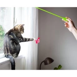 Catstages Butterfly Cat Wand Toy 16 Catstages Butterfly Cat Wand Toy -Cat Products Store 173737 PT7. AC SS1800 V1636517212