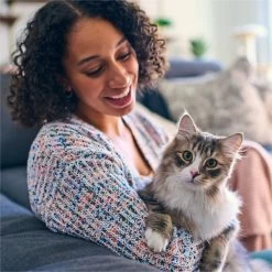 Tidy Max Lightweight Glade Clear Springs Scented Lightweight Clay Cat Litter -Cat Products Store 175483 PT3. AC SS1800 V1695847304