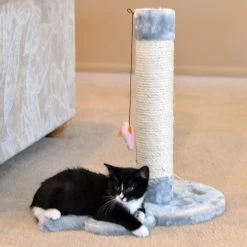 Armarkat 19-in Sisal Cat Scratching Post With Toy -Cat Products Store 179081 PT2. AC SS1800 V1678228287