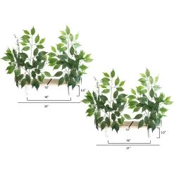 On2Pets Cat Canopy Wall Shelves -Cat Products Store 179084 PT1. AC SS1800 V1584730141