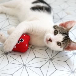 Mad Cat Magic Meowshroom Catnip & Silvervine Cat Toy 11 Mad Cat Magic Meowshroom Catnip & Silvervine Cat Toy -Cat Products Store 181804 PT3. AC SS1800 V1634833934