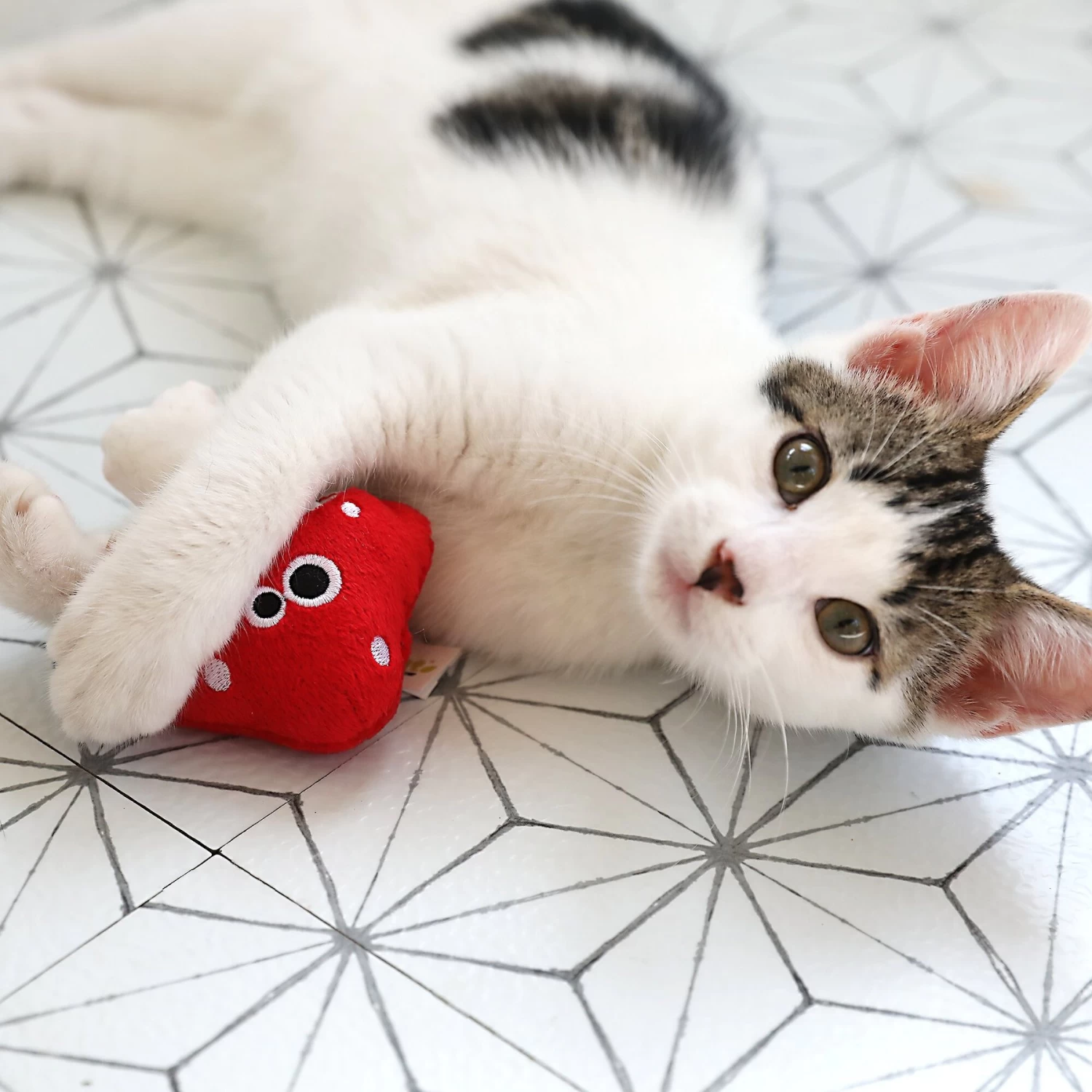 Mad Cat Magic Meowshroom Catnip & Silvervine Cat Toy 6 Mad Cat Magic Meowshroom Catnip & Silvervine Cat Toy - Image 4