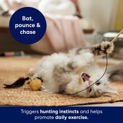 Frisco Sparkle Ball Teaser Wand Cat Toy With Catnip 10 Frisco Sparkle Ball Teaser Wand Cat Toy With Catnip -Cat Products Store 183254 PT3. AC SS1800 V1695241915