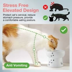 Necoichi Ceramic Elevated Cat Water Bowl 12 Necoichi Ceramic Elevated Cat Water Bowl -Cat Products Store 183505 PT3. AC SS1800 V1627495876
