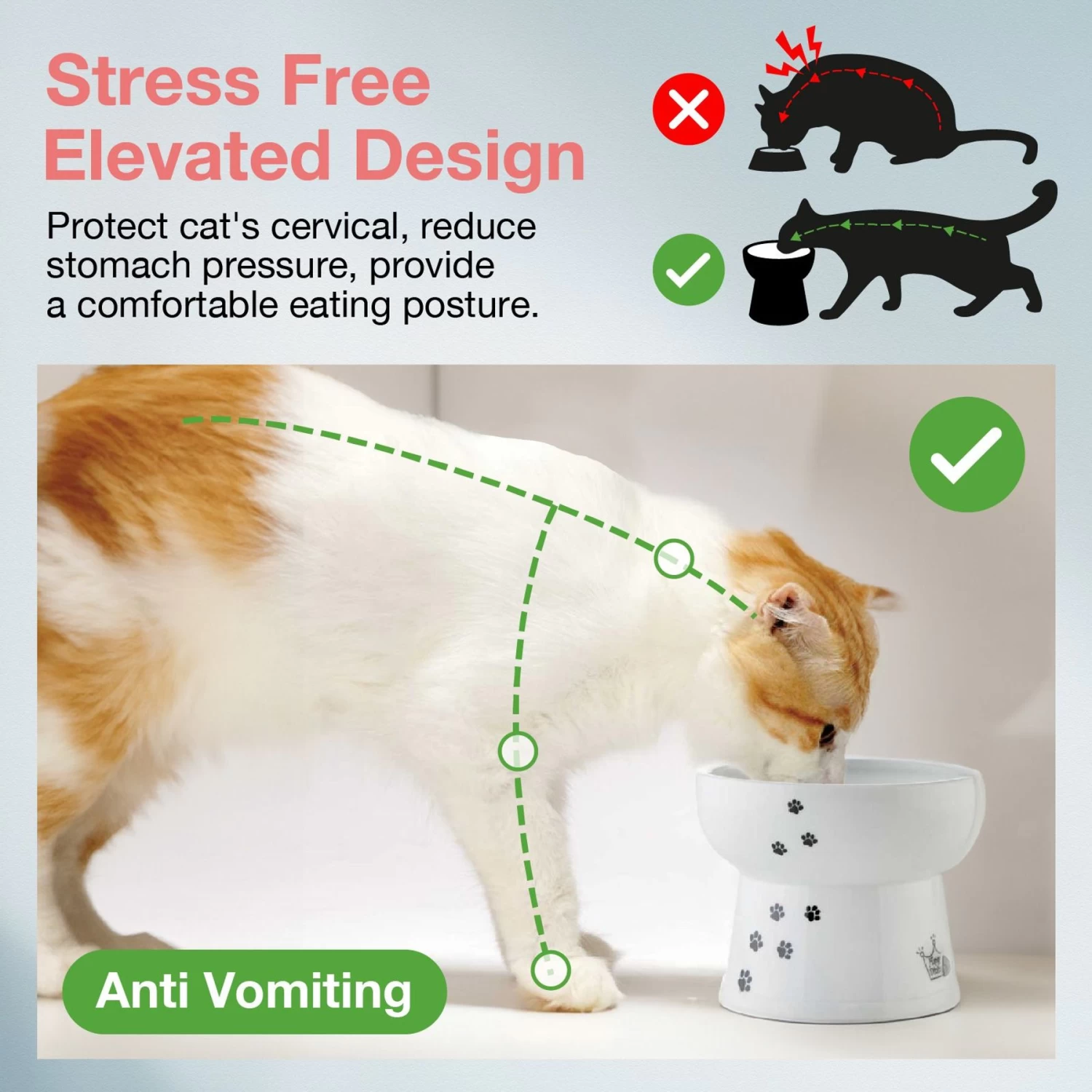 Necoichi Ceramic Elevated Cat Water Bowl 6 Necoichi Ceramic Elevated Cat Water Bowl - Image 4