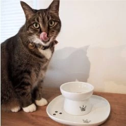 Necoichi Single Dining Tray -Cat Products Store 183513 PT3. AC SS1800 V1565880441