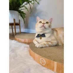 Necoichi Cozy Cat Scratcher Bowl Replacement Pad -Cat Products Store 183519 PT5. AC SS1800 V1647460001