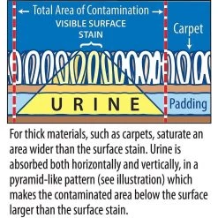 Stink Free Cat Urine & Odor Remover -Cat Products Store 183758 PT2. AC SS1800 V1628306227