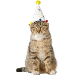 Frisco Confetti Dog & Cat Birthday Hat -Cat Products Store 191274 PT2. AC SS1800 V1582053206