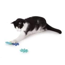 Hauspanther Atomic Flyers Catnip Chaser Cat Toy 7 Hauspanther Atomic Flyers Catnip Chaser Cat Toy -Cat Products Store 201266 PT3. AC SS1800 V1569013134
