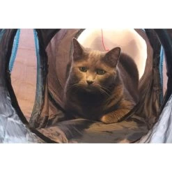 Feline Ruff 12" Premium 4-Way Collapsible Tunnel Cat Toy, Black & Blue -Cat Products Store 203968 PT2. AC SS1800 V1594670775