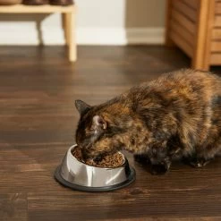 Frisco Stainless Steel Taper Non-Skid Cat Bowl -Cat Products Store 204467 PT6. AC SS1800 V1599090080