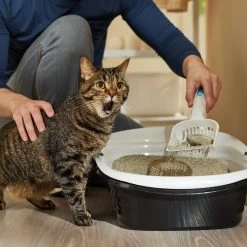 Arm & Hammer Litter Slide Multi-Cat Scented Clumping Clay Cat Litter -Cat Products Store 207535 PT3. AC SS1800 V1676491989