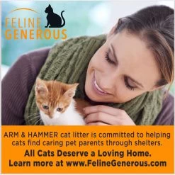 Arm & Hammer Litter Slide Multi-Cat Scented Clumping Clay Cat Litter -Cat Products Store 207535 PT6. AC SS1800 V1676491989