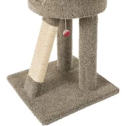Frisco 24-in Real Carpet Cat Scratching Perch With Toy 9 Frisco 24-in Real Carpet Cat Scratching Perch With Toy -Cat Products Store 208960 PT4. AC SS1800 V1589221657