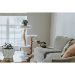 Mau Lifestyle Alba 43-in Modern Wooden Cat Tree & Condo -Cat Products Store 211717 PT2. AC SS1800 V1632954678