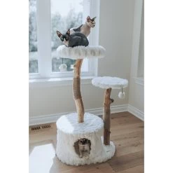 Mau Lifestyle Alba 43-in Modern Wooden Cat Tree & Condo -Cat Products Store 211717 PT5. AC SS1800 V1632954718