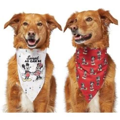 Disney Mickey Mouse & Minnie Mouse "Sweet As Can Be" Reversible Dog & Cat Bandana 15 Disney Mickey Mouse & Minnie Mouse "Sweet As Can Be" Reversible Dog & Cat Bandana -Cat Products Store 220293 PT4. AC SS1800 V1637667456