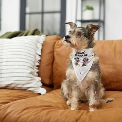 Disney Mickey Mouse & Minnie Mouse "Sweet As Can Be" Reversible Dog & Cat Bandana 16 Disney Mickey Mouse & Minnie Mouse "Sweet As Can Be" Reversible Dog & Cat Bandana -Cat Products Store 220293 PT5. AC SS1800 V1637707356