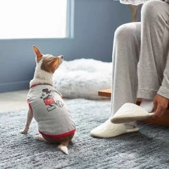 Disney Mickey Mouse & Minnie Mouse "Sweet As Can Be" Reversible Dog & Cat Bandana 18 Disney Mickey Mouse & Minnie Mouse "Sweet As Can Be" Reversible Dog & Cat Bandana -Cat Products Store 220293 PT7. AC SS1800 V1633126030