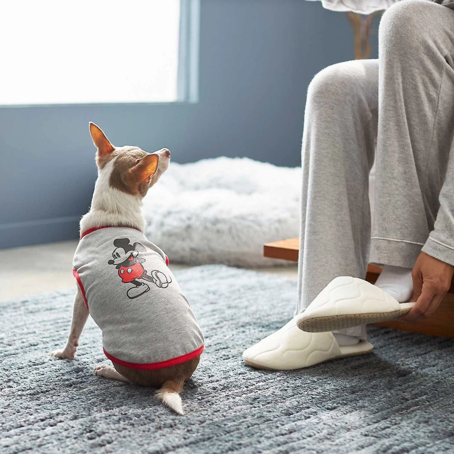 Disney Mickey Mouse & Minnie Mouse "Sweet As Can Be" Reversible Dog & Cat Bandana 10 Disney Mickey Mouse & Minnie Mouse "Sweet As Can Be" Reversible Dog & Cat Bandana - Image 8