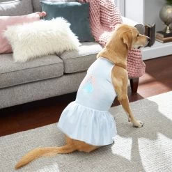 Disney Cinderella Satin Dog & Cat Dress -Cat Products Store 220352 PT7. AC SS1800 V1613669793