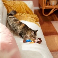Pixar Woody Plush Kicker Cat Toy With Catnip -Cat Products Store 221063 PT2. AC SS1800 V1612366276