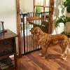 Frisco Wood Accents Extra Tall Auto-close Dog Gate 2 Frisco Wood Accents Extra Tall Auto-close Dog Gate -Cat Products Store 221968 MAIN. AC SS1800 V1595281859