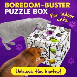 Cat Amazing Sliders Interactive Treat Maze & Puzzle Cat Toy -Cat Products Store 225050 PT2. AC SS1800 V1583528887