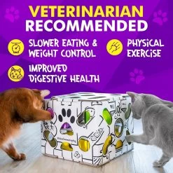 Cat Amazing Sliders Interactive Treat Maze & Puzzle Cat Toy -Cat Products Store 225050 PT4. AC SS1800 V1583528890