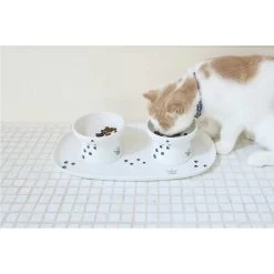 Necoichi Double Dining Tray Set & Elevated Cat Bowls 16 Necoichi Double Dining Tray Set & Elevated Cat Bowls -Cat Products Store 230660 PT5. AC SS1800 V1631312470