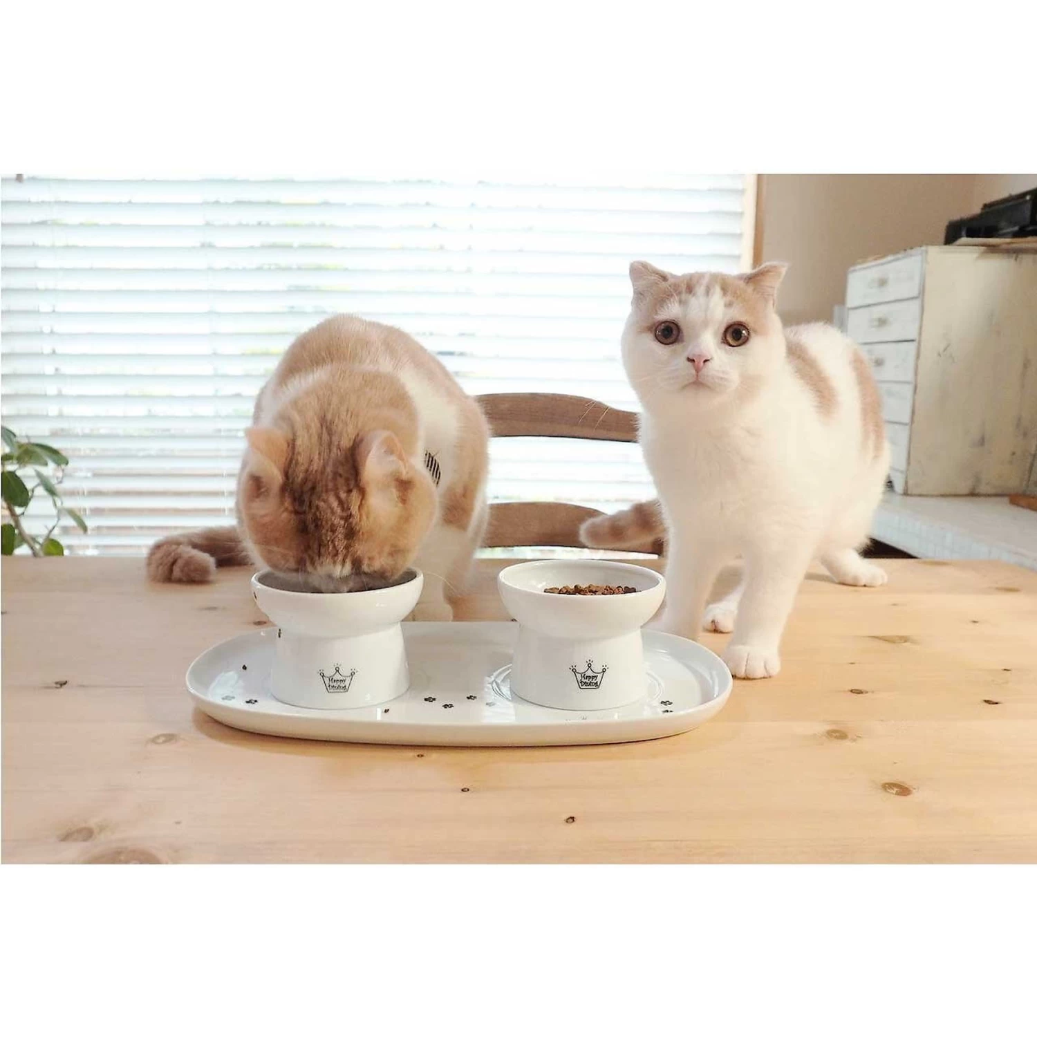 Necoichi Double Dining Tray Set & Elevated Cat Bowls 9 Necoichi Double Dining Tray Set & Elevated Cat Bowls - Image 7
