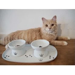 Necoichi Double Dining Tray Set & Elevated Cat Bowls 19 Necoichi Double Dining Tray Set & Elevated Cat Bowls -Cat Products Store 230660 PT8. AC SS1800 V1631312193