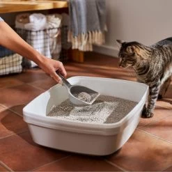 Frisco Lightweight Scented Clumping Cat Litter -Cat Products Store 230718 PT4. AC SS1800 V1659023572