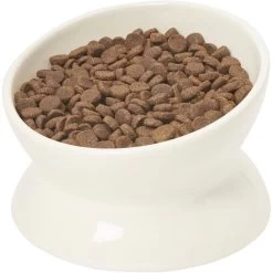 Frisco Double-Sided Ceramic Elevated Cat Bowl -Cat Products Store 232081 PT6. AC SS1800 V1684760471