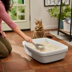 Frisco Tofu Clumping Cat Litter -Cat Products Store 232117 PT4. AC SS1800 V1659546420