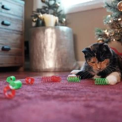 Frisco Holiday Springs Cat Toy, 10 Count 8 Frisco Holiday Springs Cat Toy, 10 Count -Cat Products Store 233307 PT2. AC SS1800 V1602172363