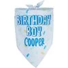 Frisco Birthday Boy Personalized Dog & Cat Bandana -Cat Products Store 238329 MAIN. AC SS1800 V1597896415
