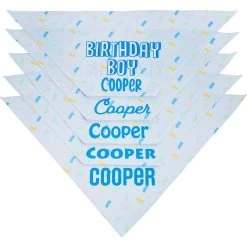 Frisco Birthday Boy Personalized Dog & Cat Bandana -Cat Products Store 238329 PT4. AC SS1800 V1618511578