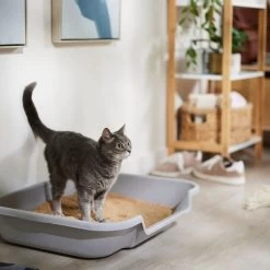 Catalyst Pet Multi-Cat Formula Cat Litter -Cat Products Store 241764 PT3. AC SS1800 V1680789563