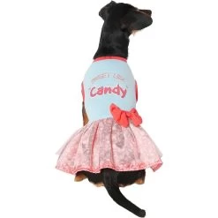 Frisco Sweet Like Candy Dog & Cat Dress 10 Frisco Sweet Like Candy Dog & Cat Dress -Cat Products Store 248666 PT2. AC SS1800 V1632421633