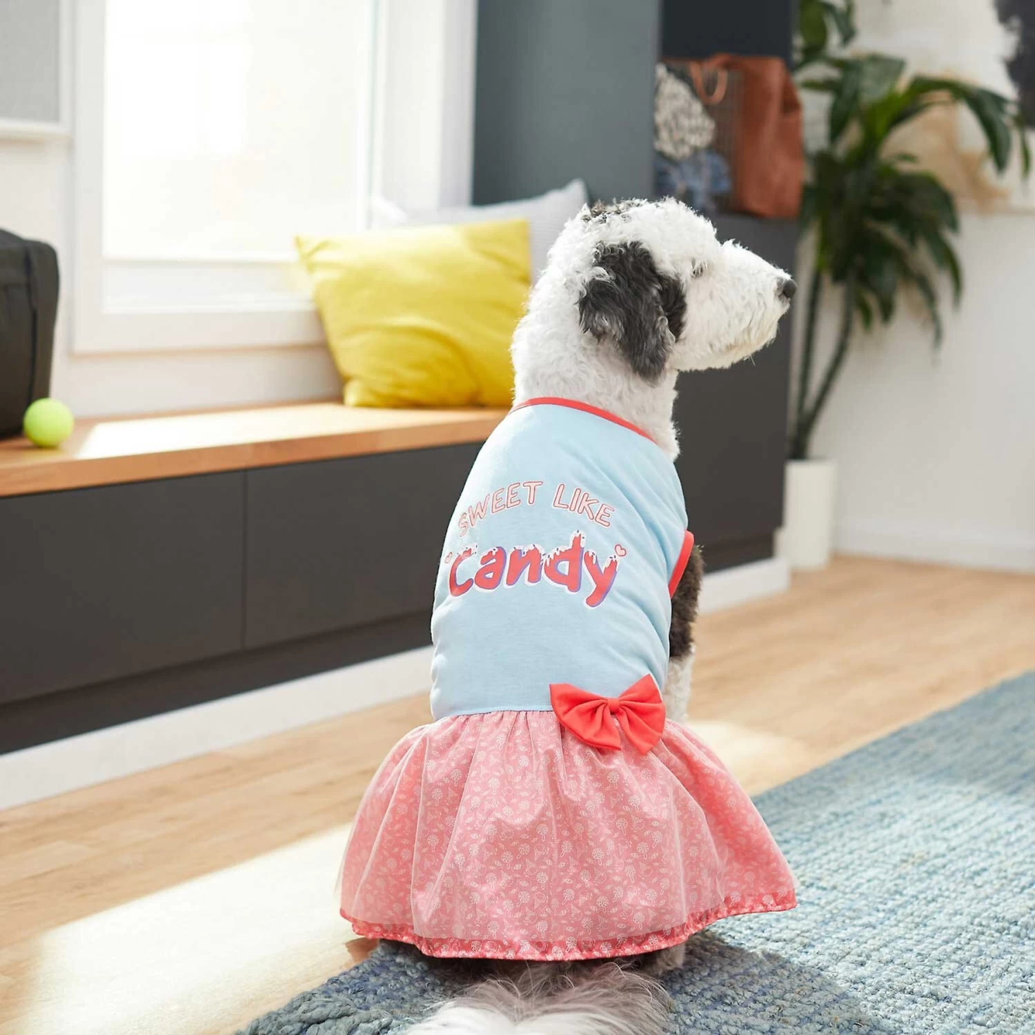 Frisco Sweet Like Candy Dog & Cat Dress 7 Frisco Sweet Like Candy Dog & Cat Dress - Image 5
