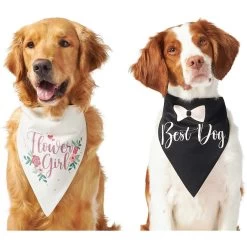 Frisco Wedding Reversible Dog & Cat Bandana -Cat Products Store 248712 PT2. AC SS1800 V1632429387